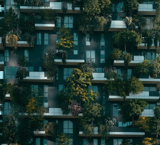 biophilic
