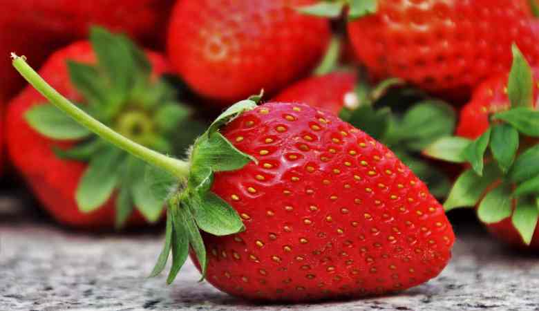 5-guides-to-grow-strawberries