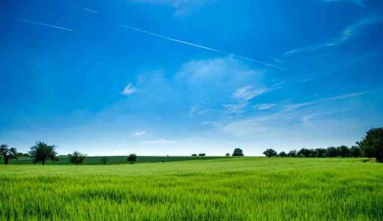 5-land-selling-tips