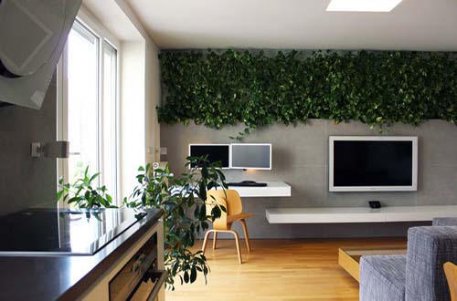 Add life inside your apartment