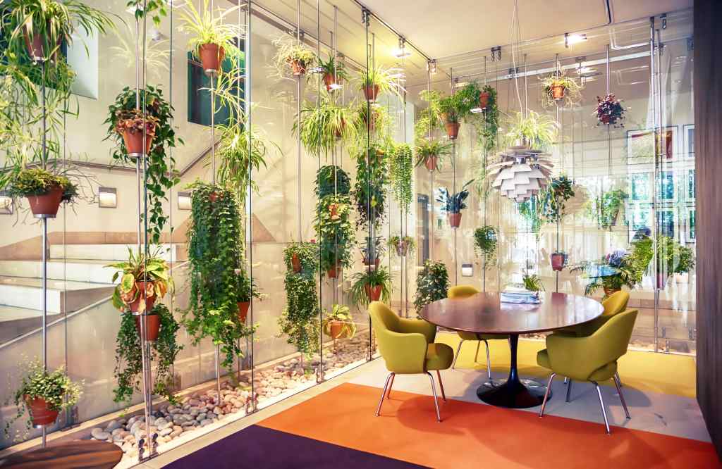 biophilic design 