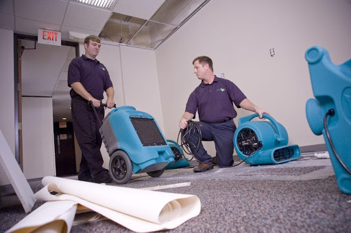 carpet-cleaning