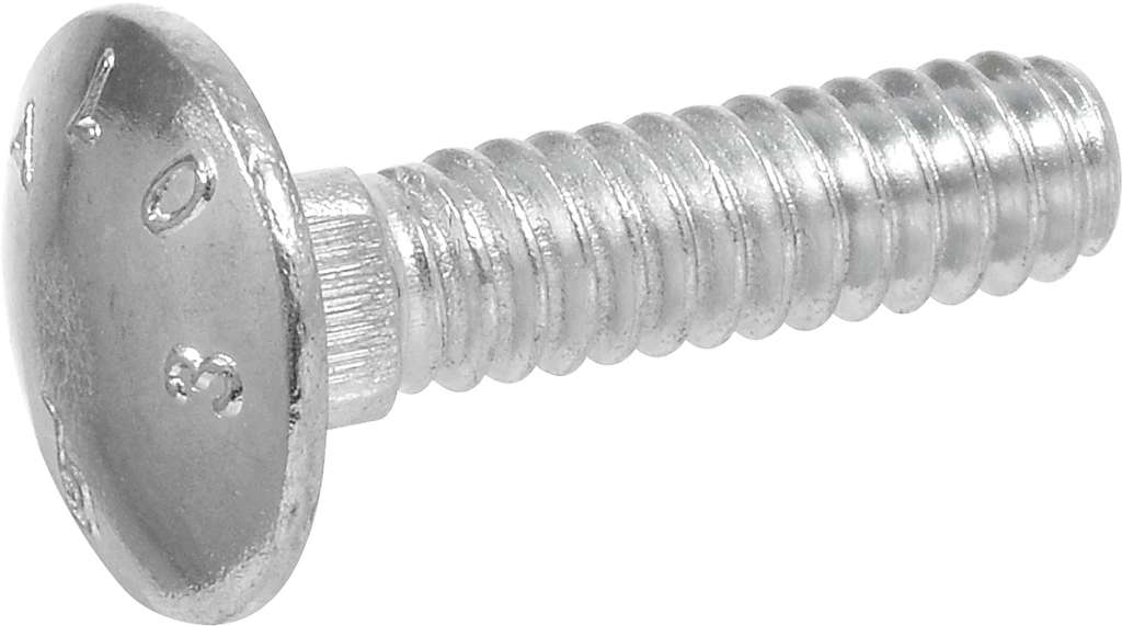 Carriage bolts