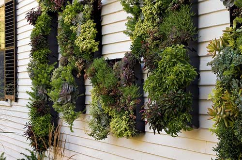 Clean up the side yard