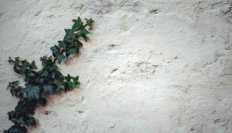 difference-between-stucco-plaster-and-concrete