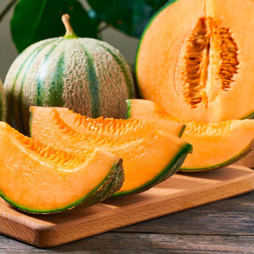 Honey Rock Melon