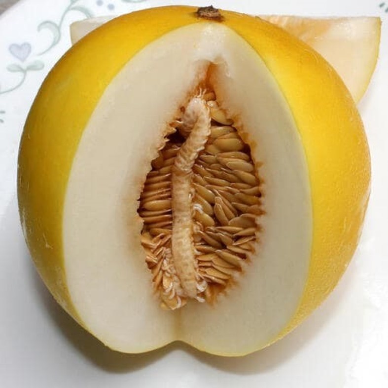 Honeydew melon