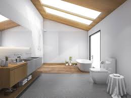 Skylight-Bathroom