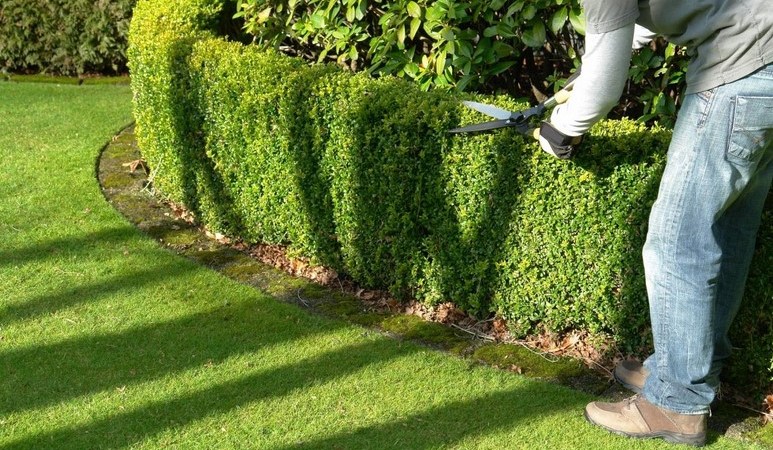 landscaping and gardening