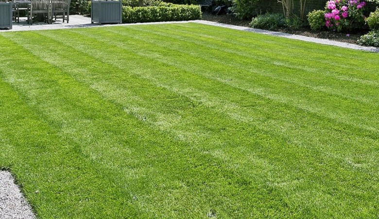 maintain-a-perfect-lawn