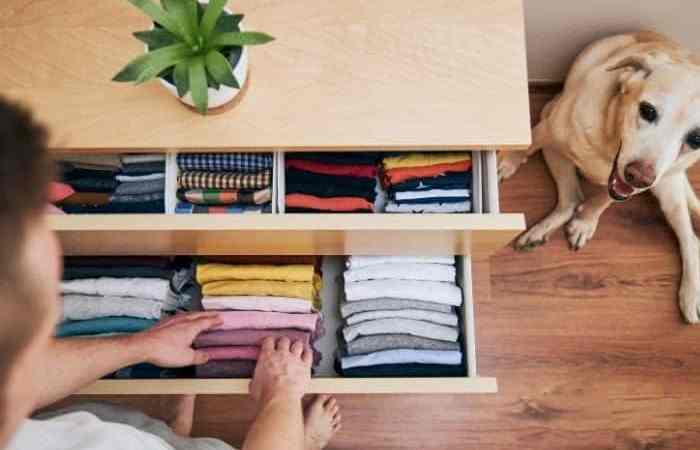 organize home