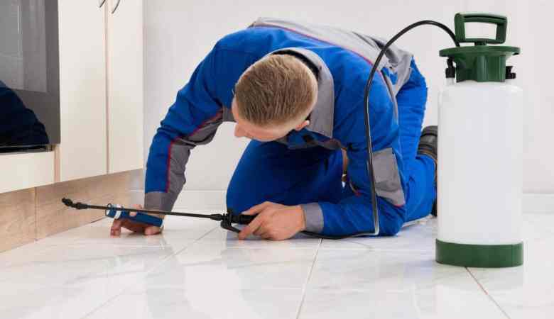 pest-inspection