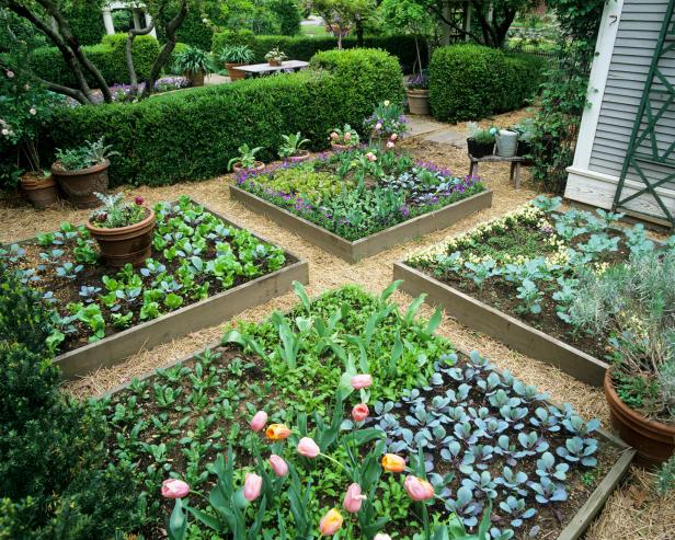 plant up