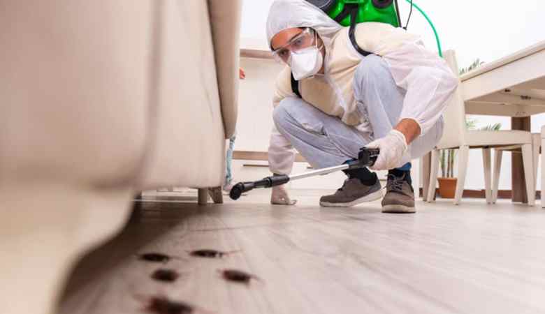 Pest Control