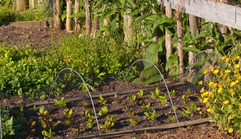 protect-garden-from-winter
