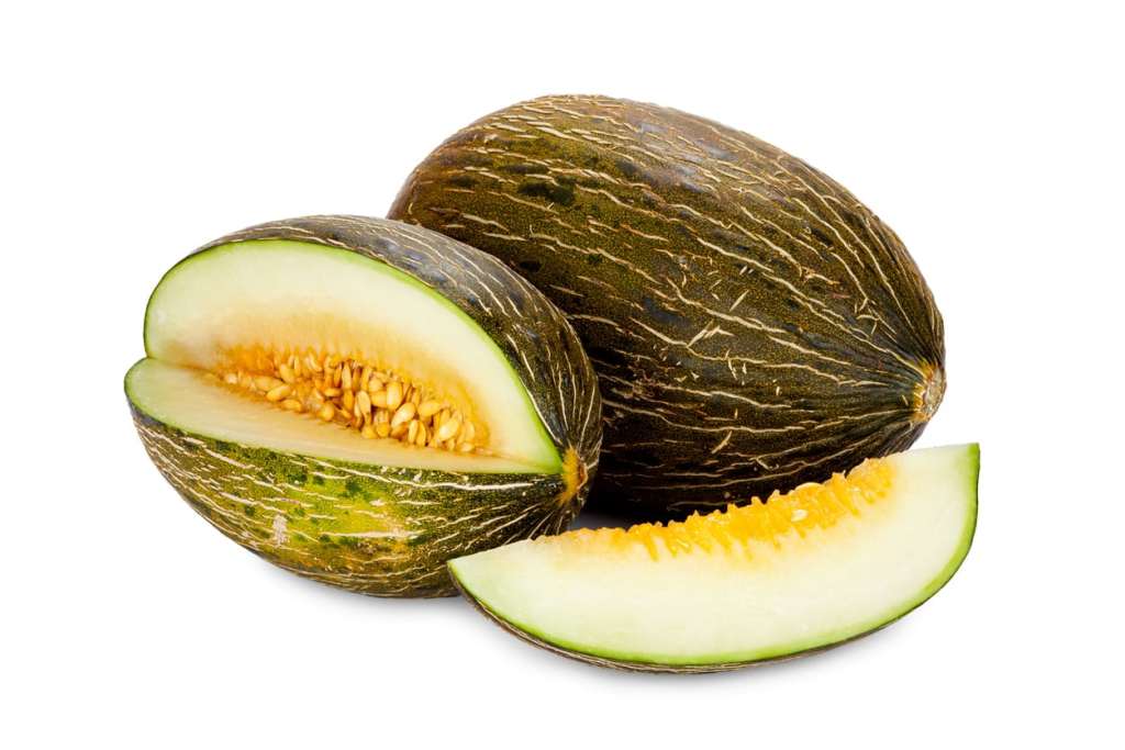 Santa clause melon
