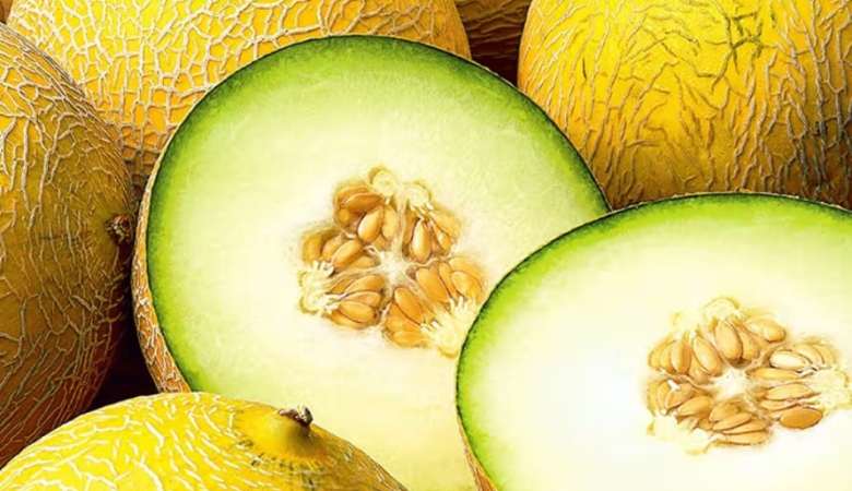 types of melons