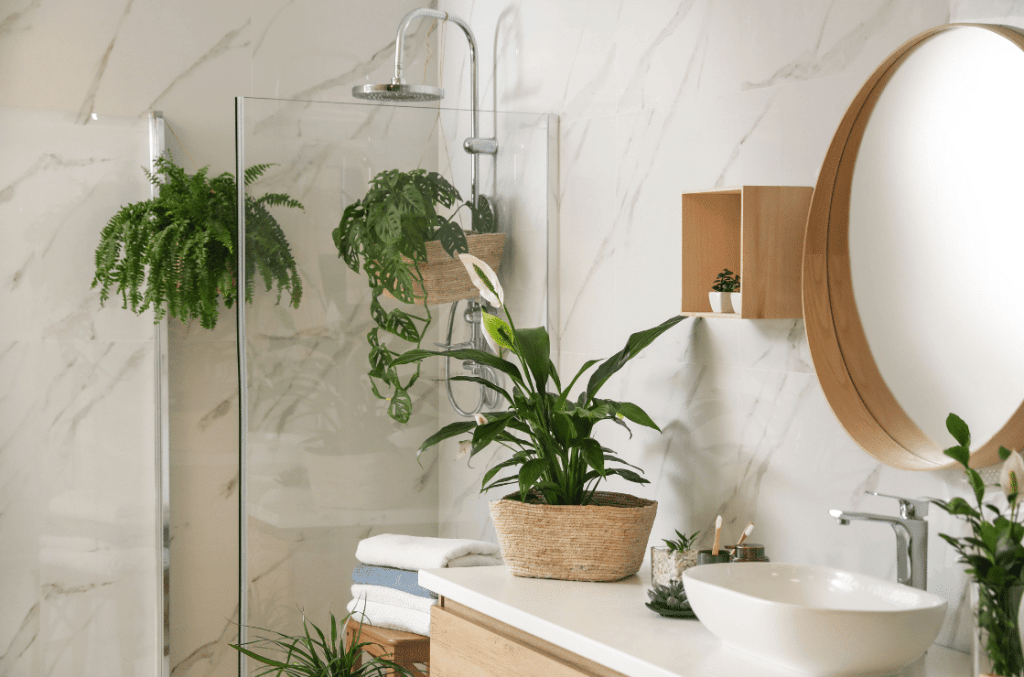 Bathroom fixtures 
