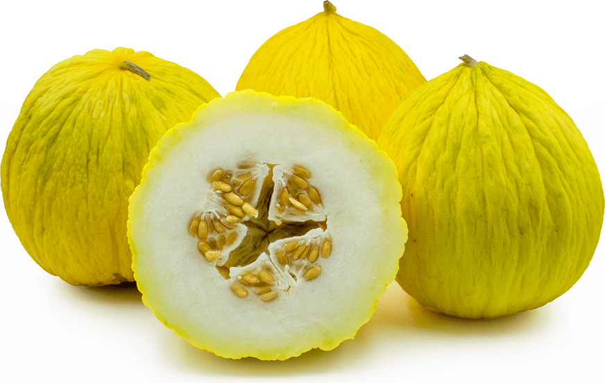Casaba melon