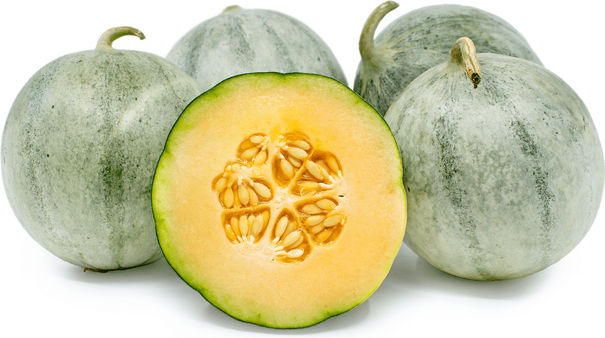 Charentais Melon