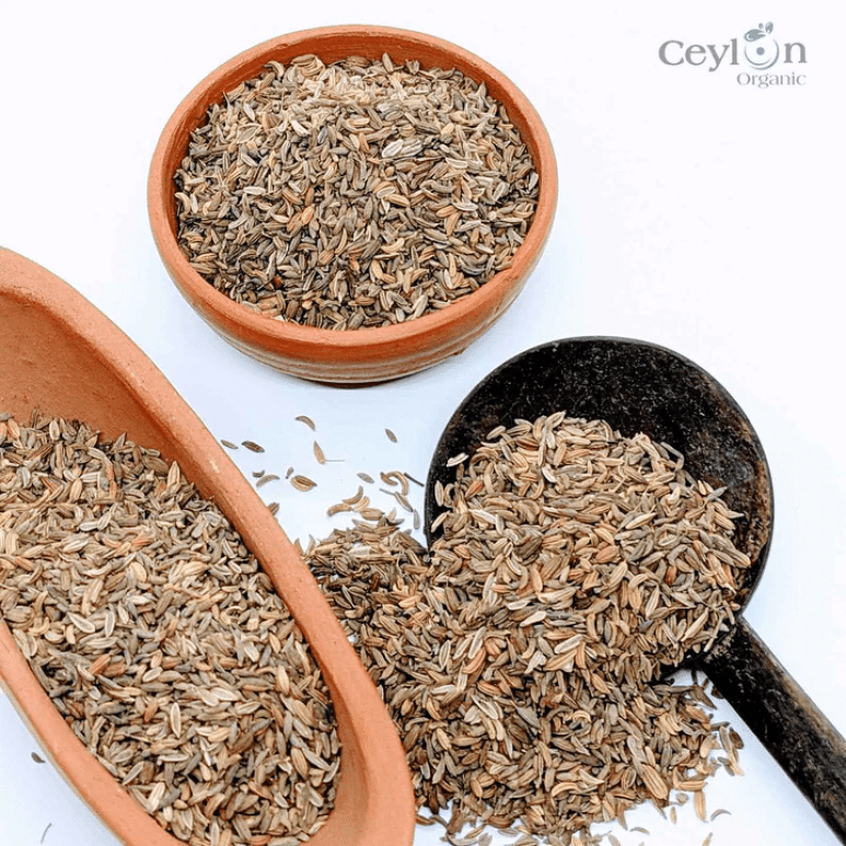 Cumin spice 