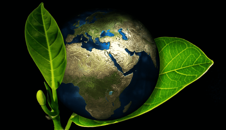 eco-friendly-items-for-home