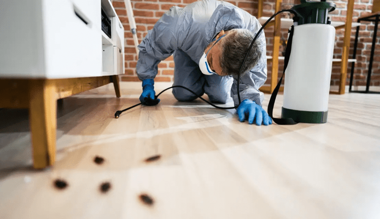 Pest control services
