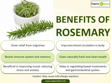 Rosemary Spice benefits