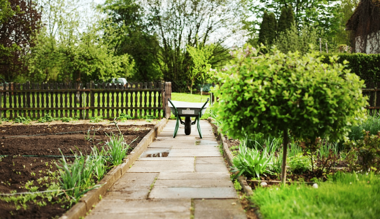 starting-of-a-garden