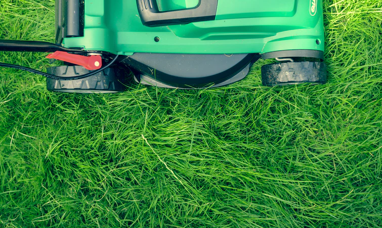 take-care-of-lawn
